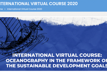 International Virtual Course 2020