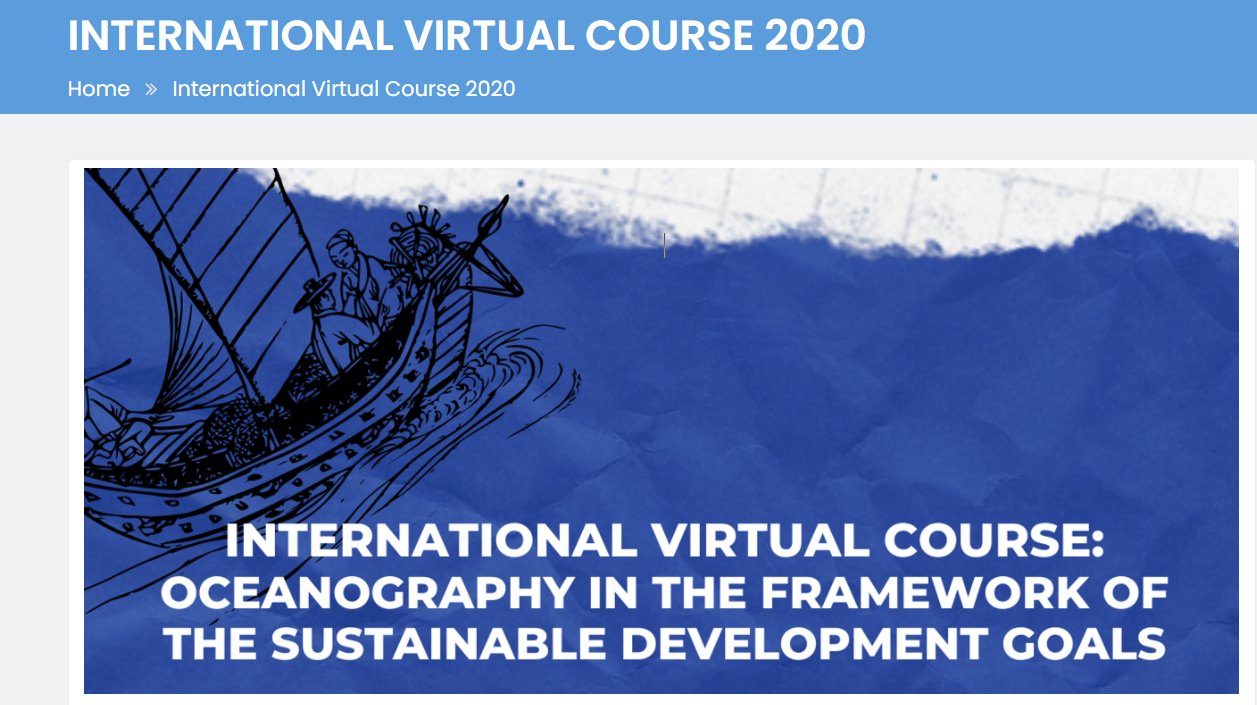 International Virtual Course 2020