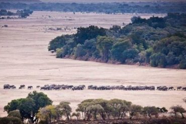 Kisah Penyebaran Fauna di Bumi pada Zaman Plestosen