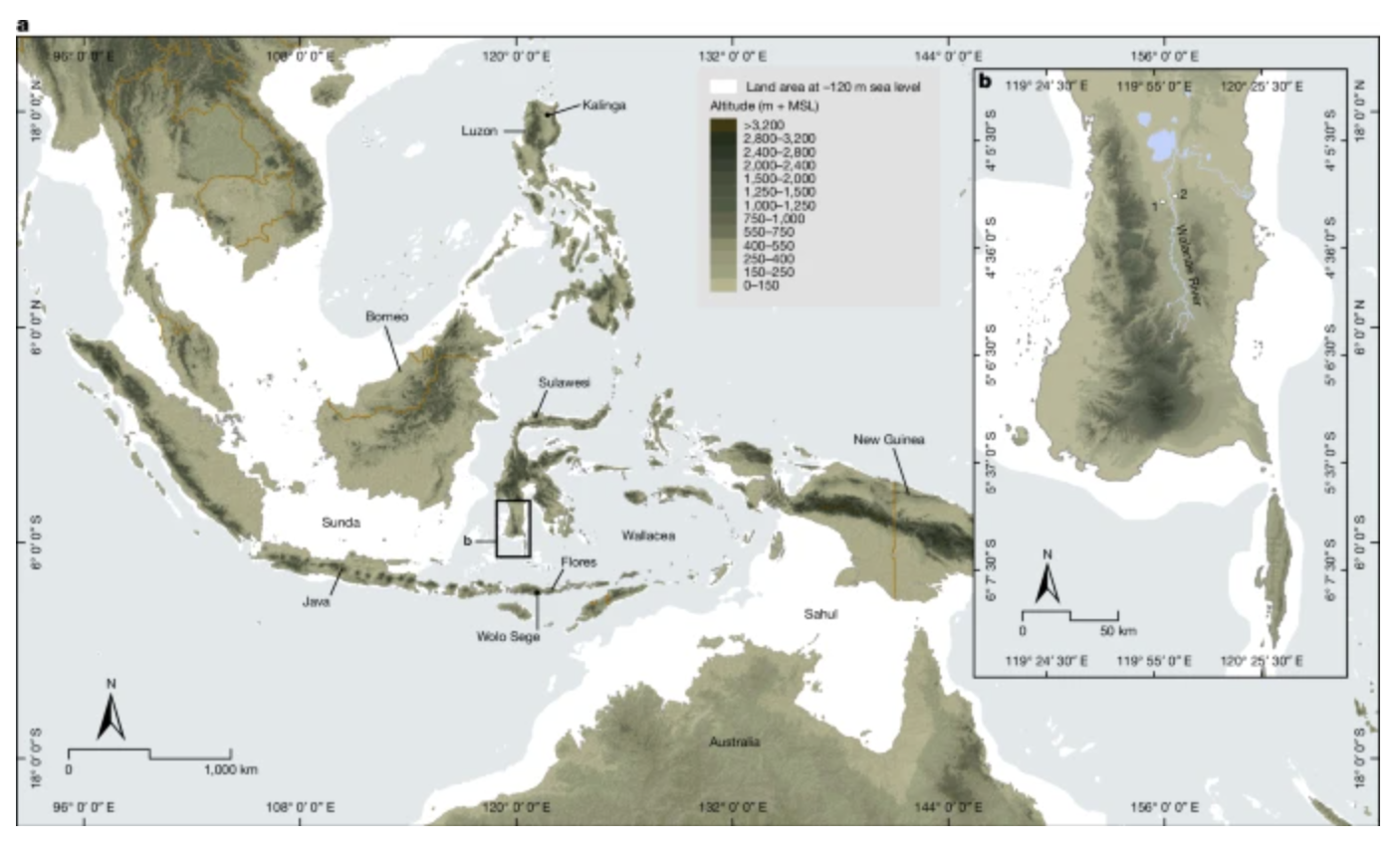 Early humans were exploring the islands of Indonesia much sooner than anyone imagined