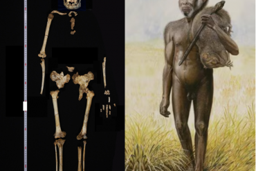 Kisah dari Tetesan Air Gua: Kisah Kepunahan Homo floresiensis dan Iklim yang Berubah